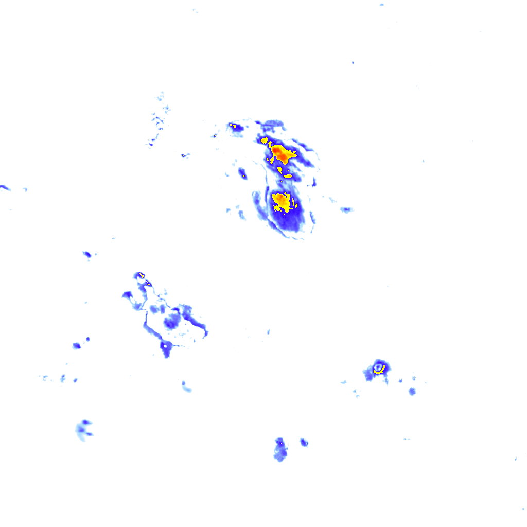 rainLayer