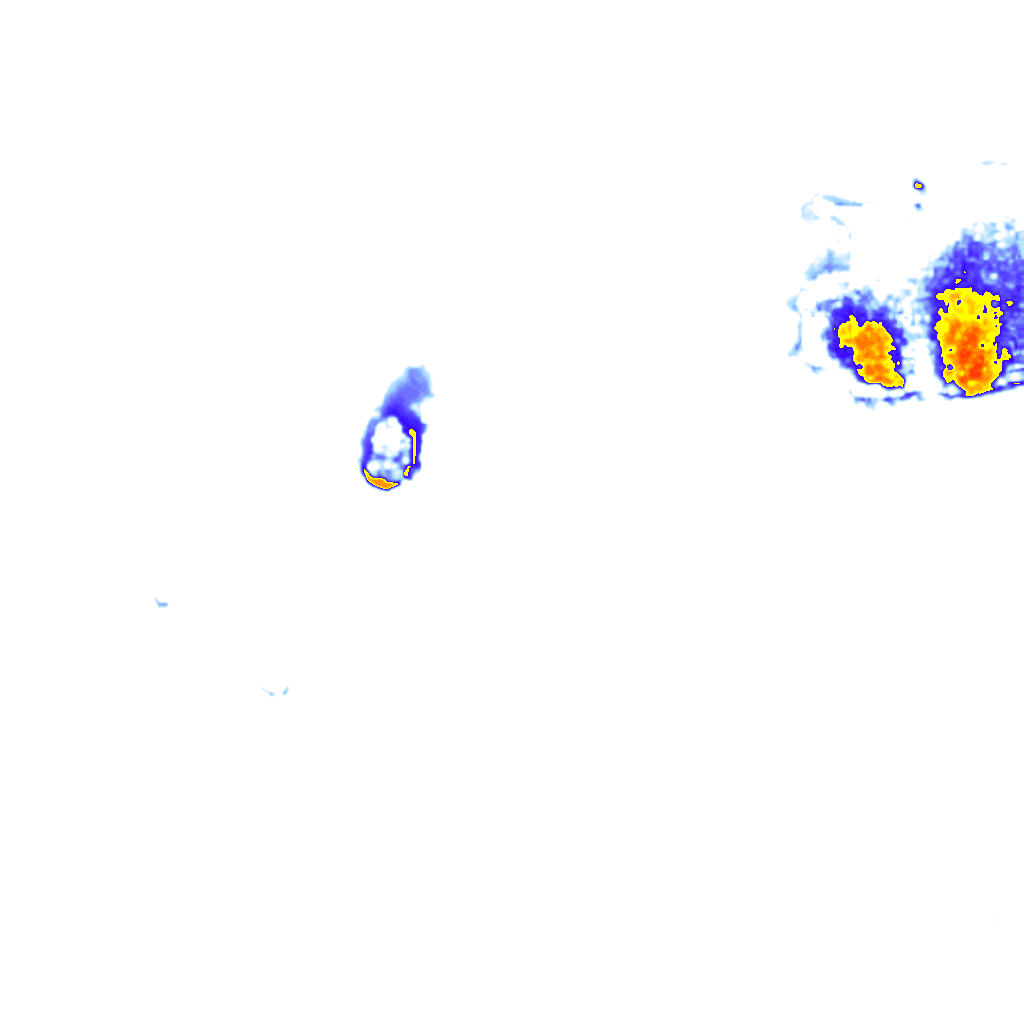 Image Layer