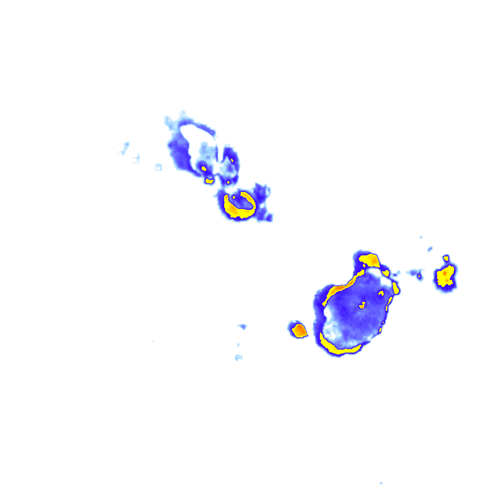 Image Layer