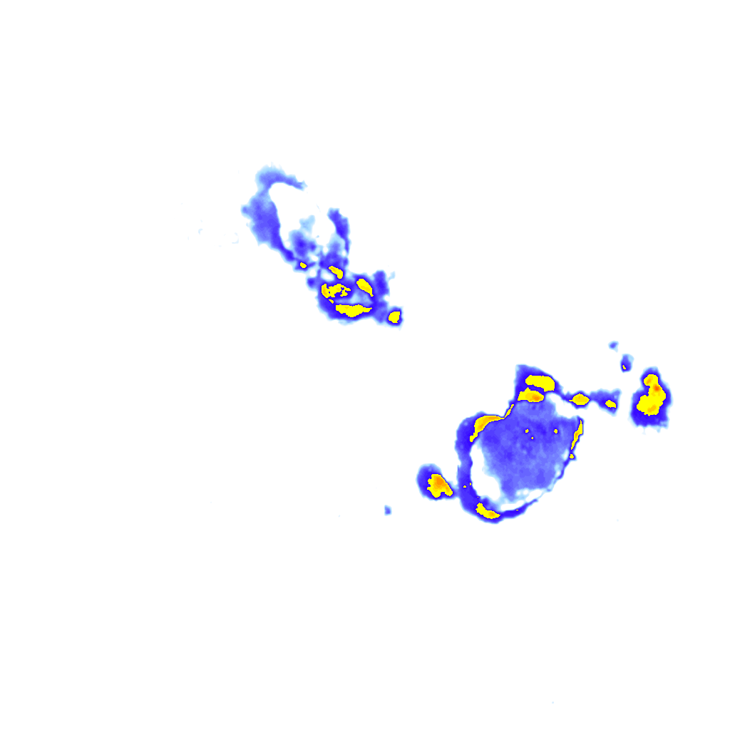 rainLayer