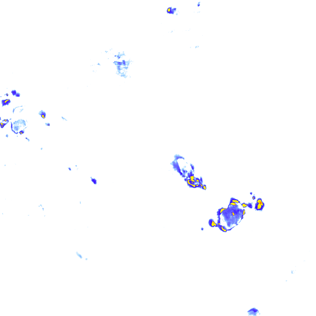 rainLayer