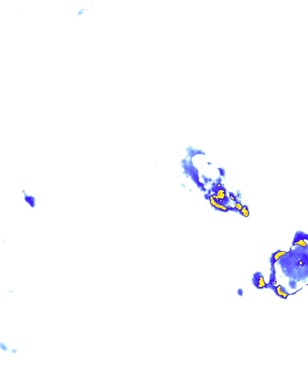 rainLayer