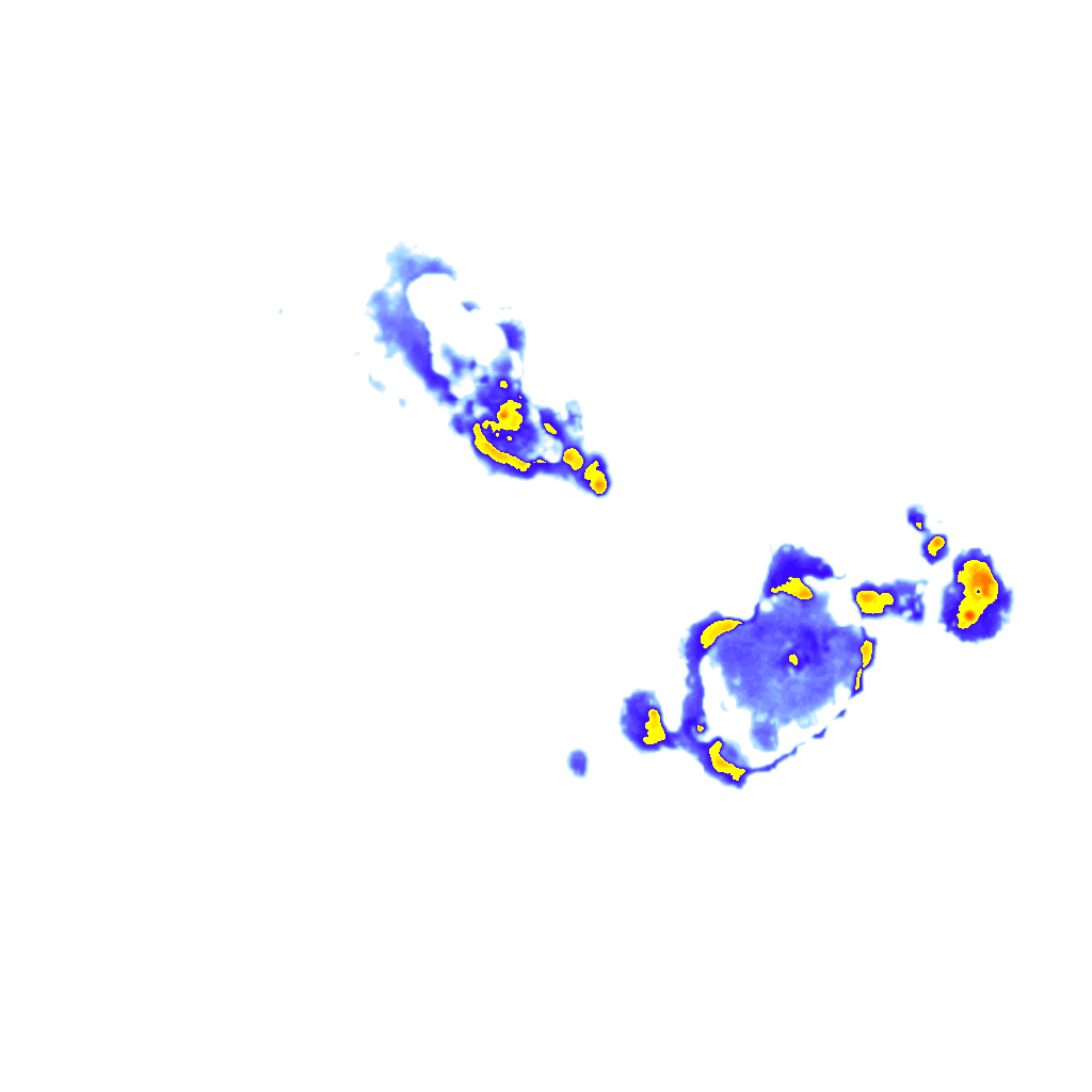 Image Layer