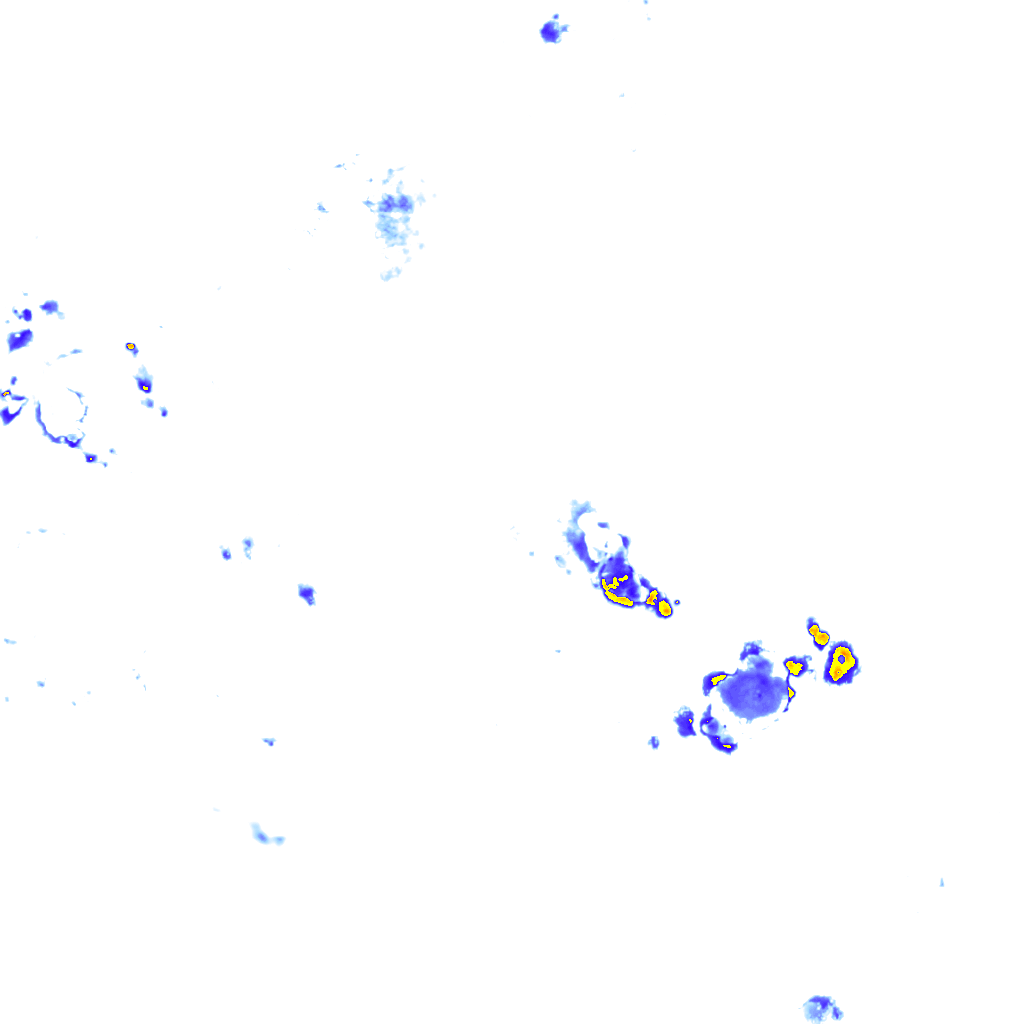 rainLayer