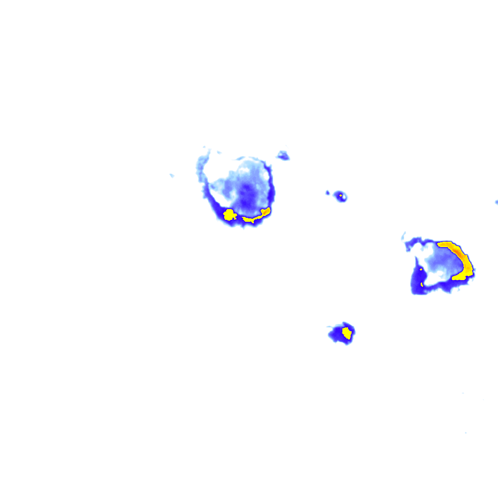 rainLayer