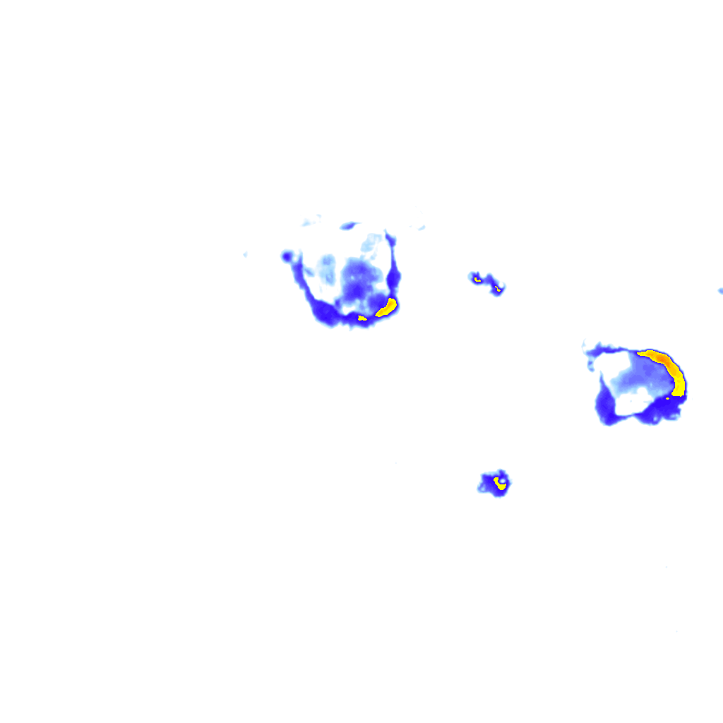 rainLayer