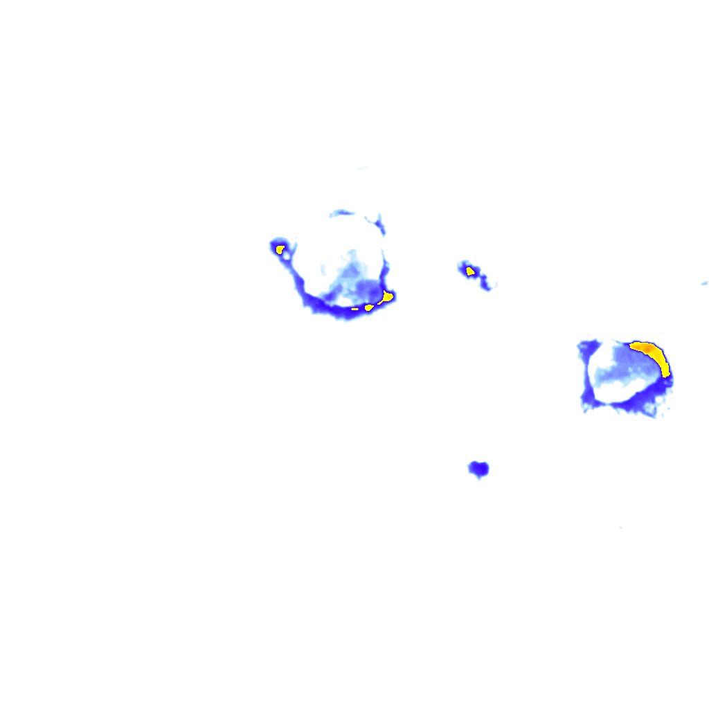 rainLayer