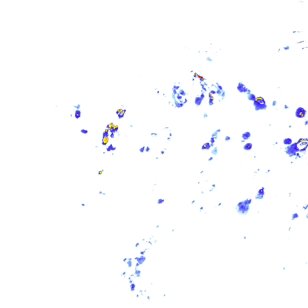 rainLayer
