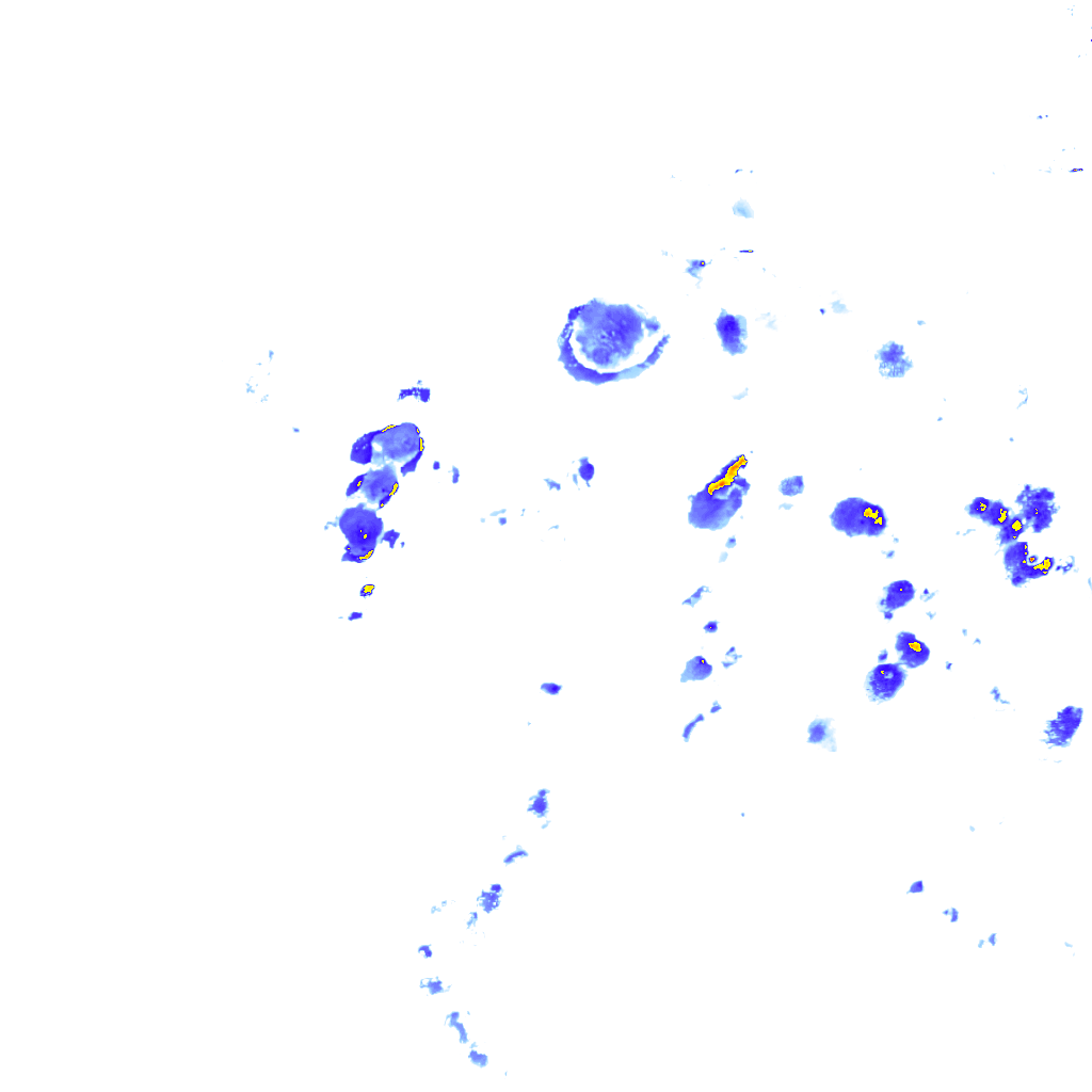 Image Layer