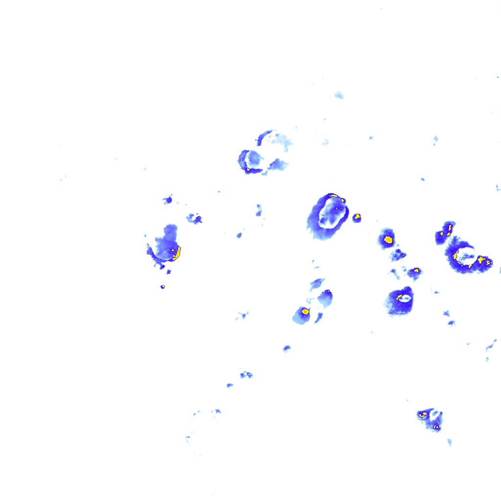 rainLayer