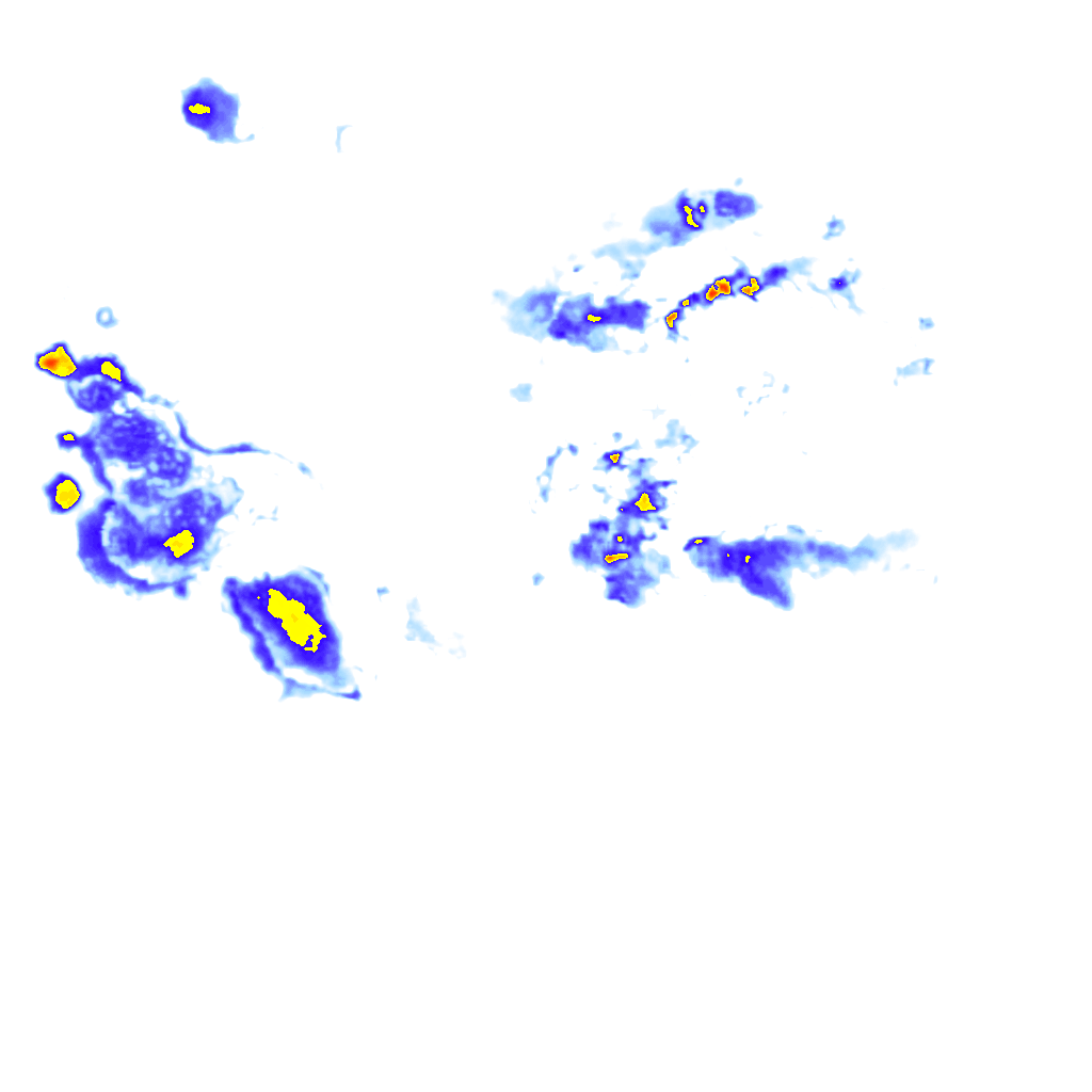 rainLayer