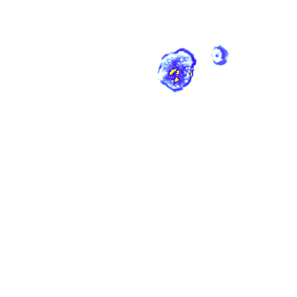 Image Layer