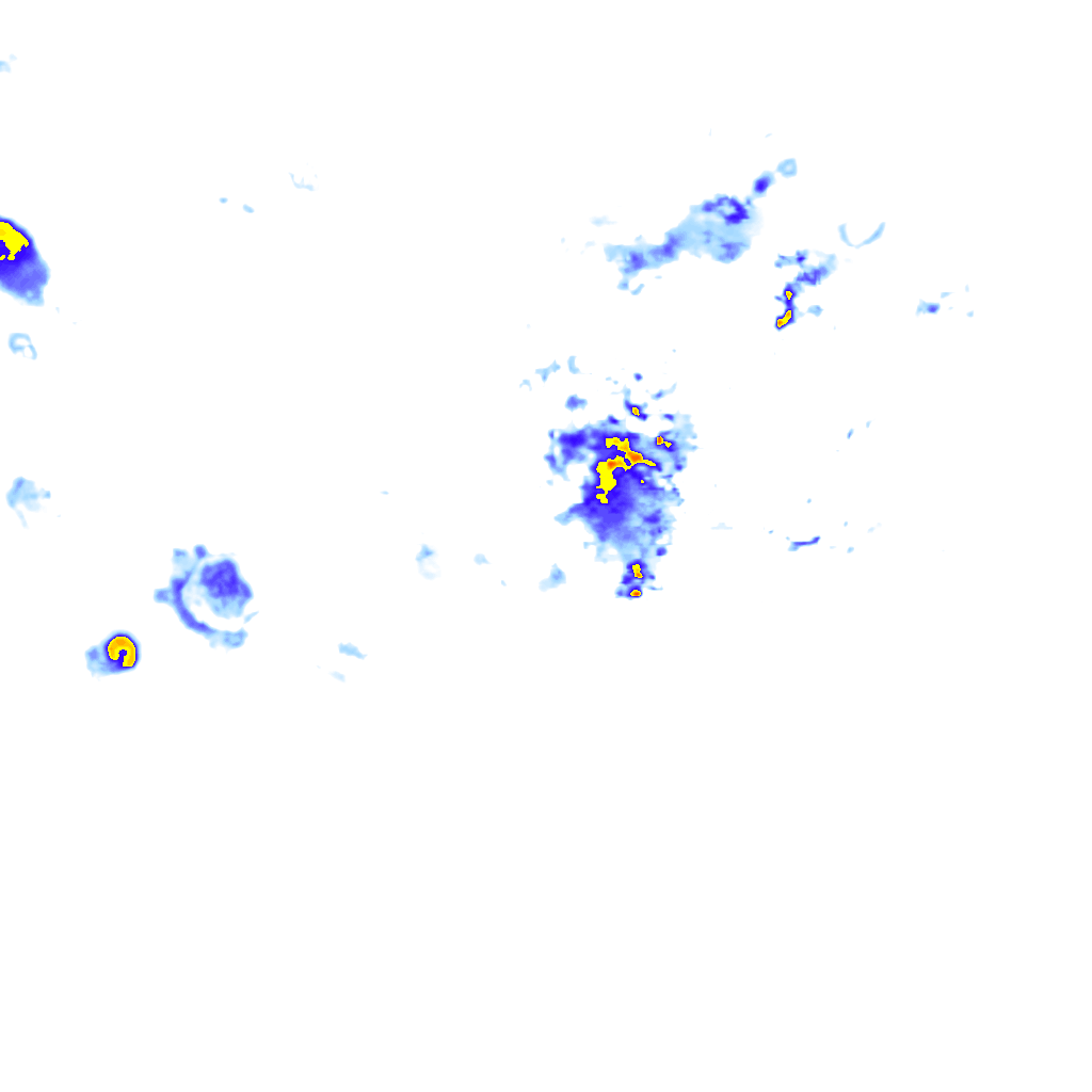 rainLayer