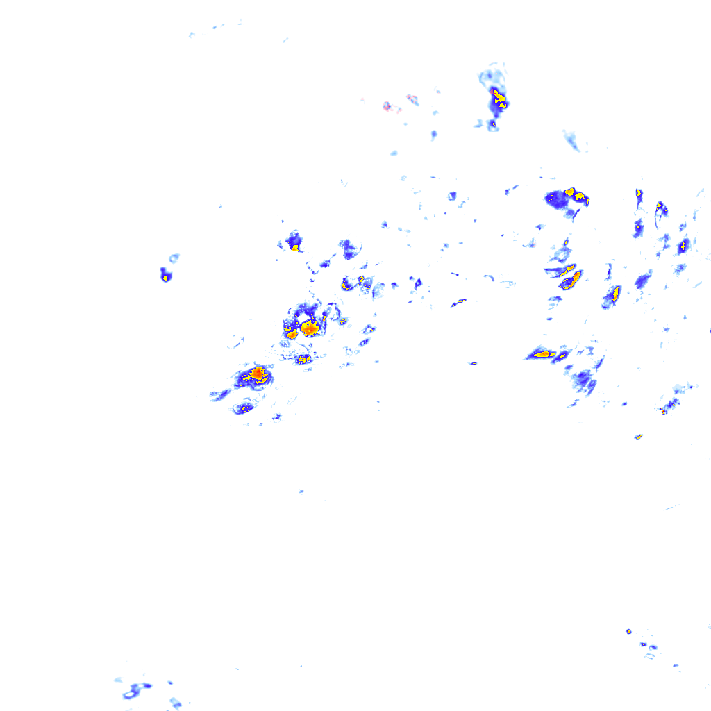 Image Layer