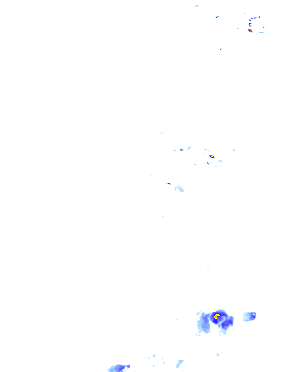 rainLayer