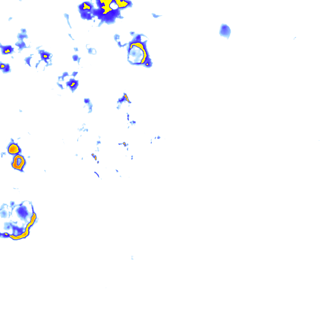 rainLayer