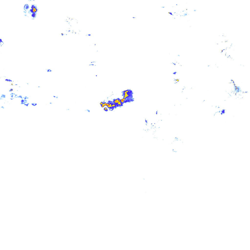 rainLayer