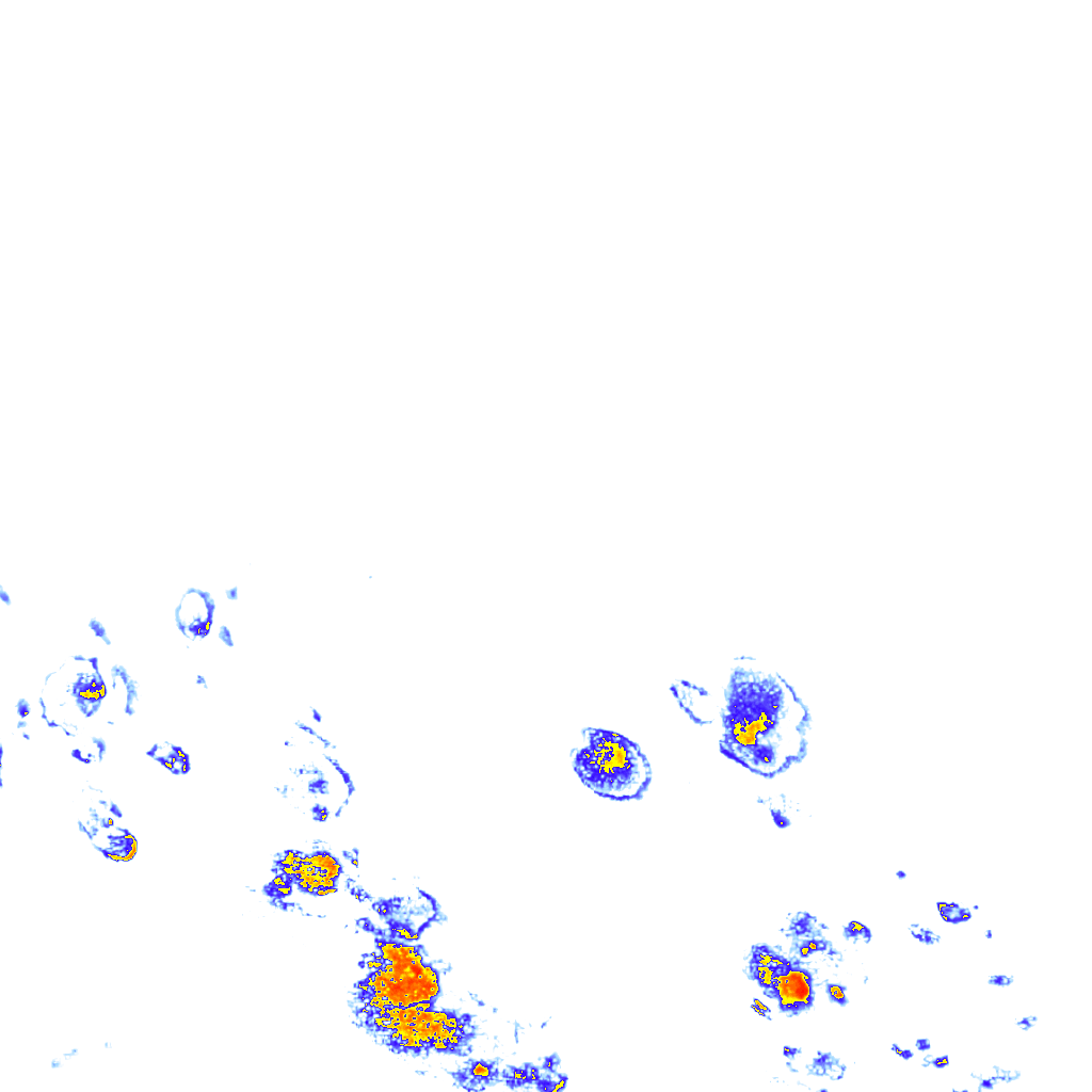 Image Layer