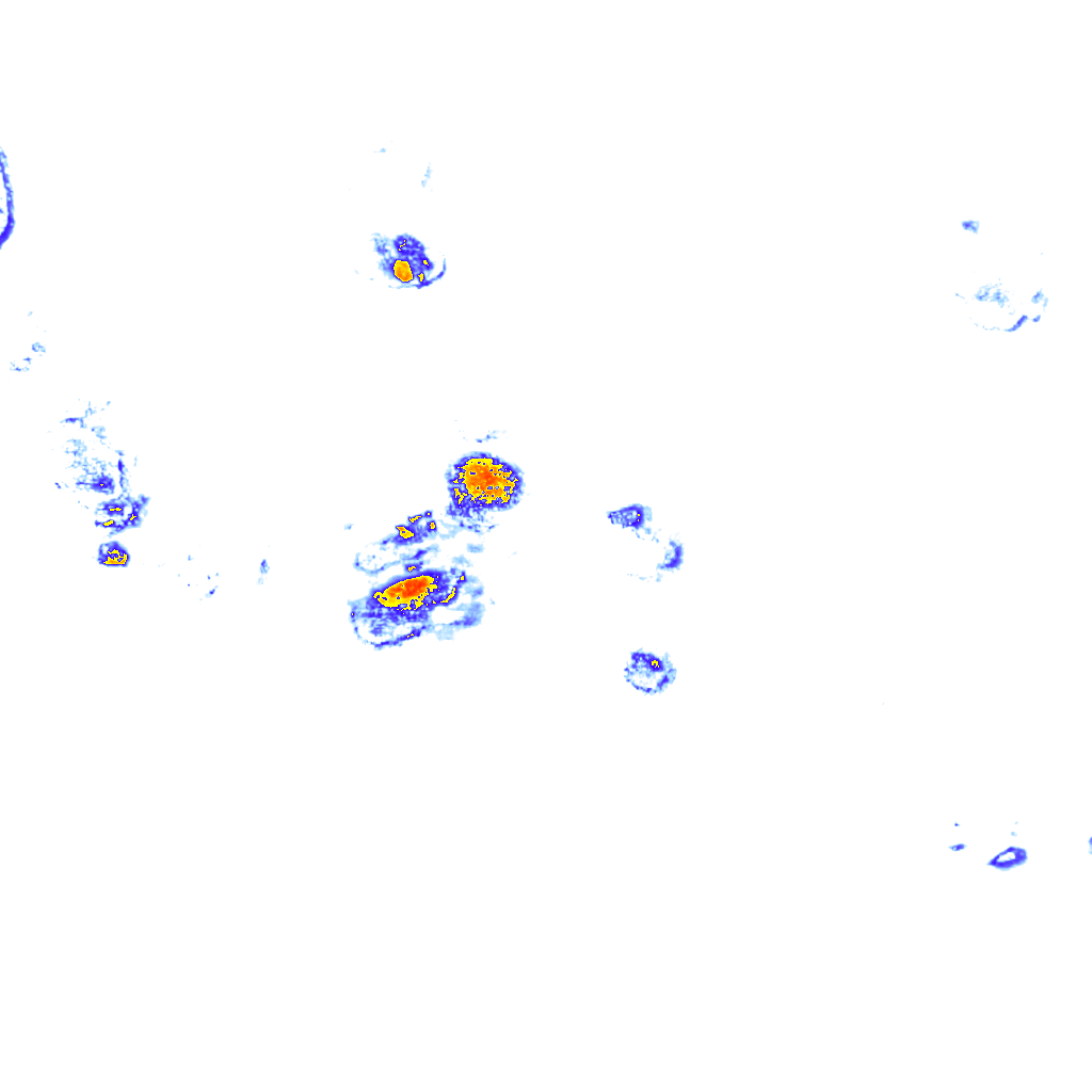 Image Layer