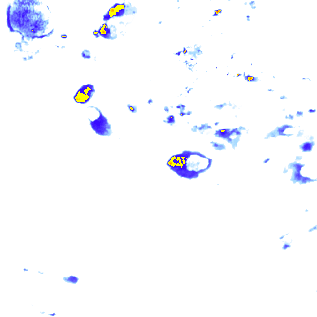 Image Layer