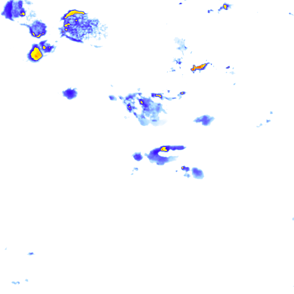 Image Layer