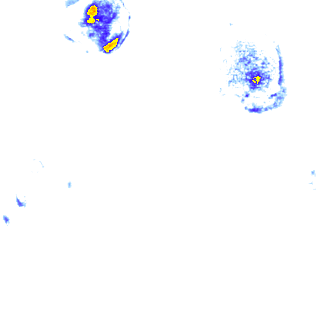 Image Layer