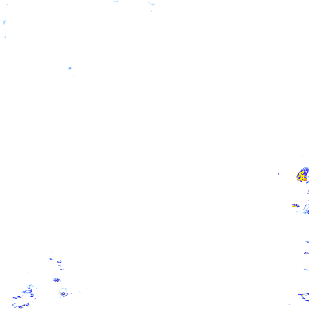 rainLayer