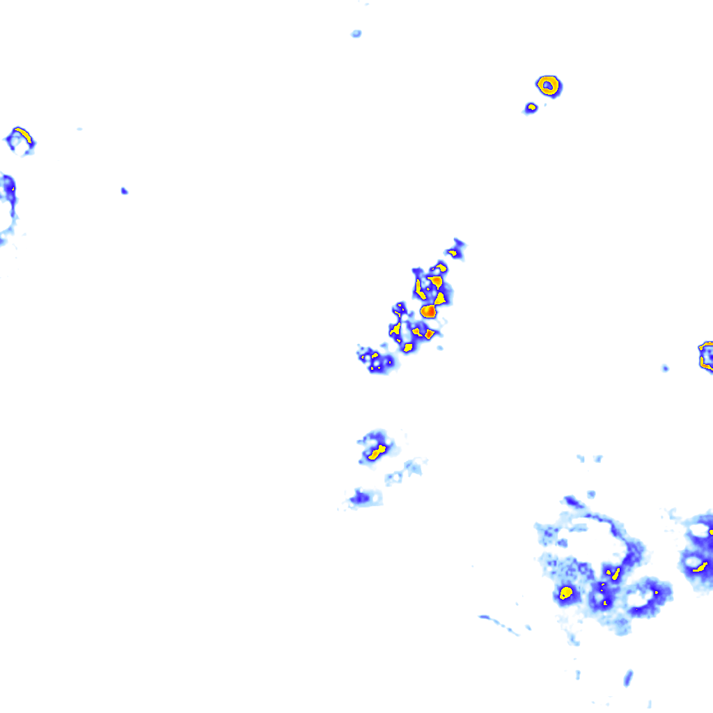 Image Layer