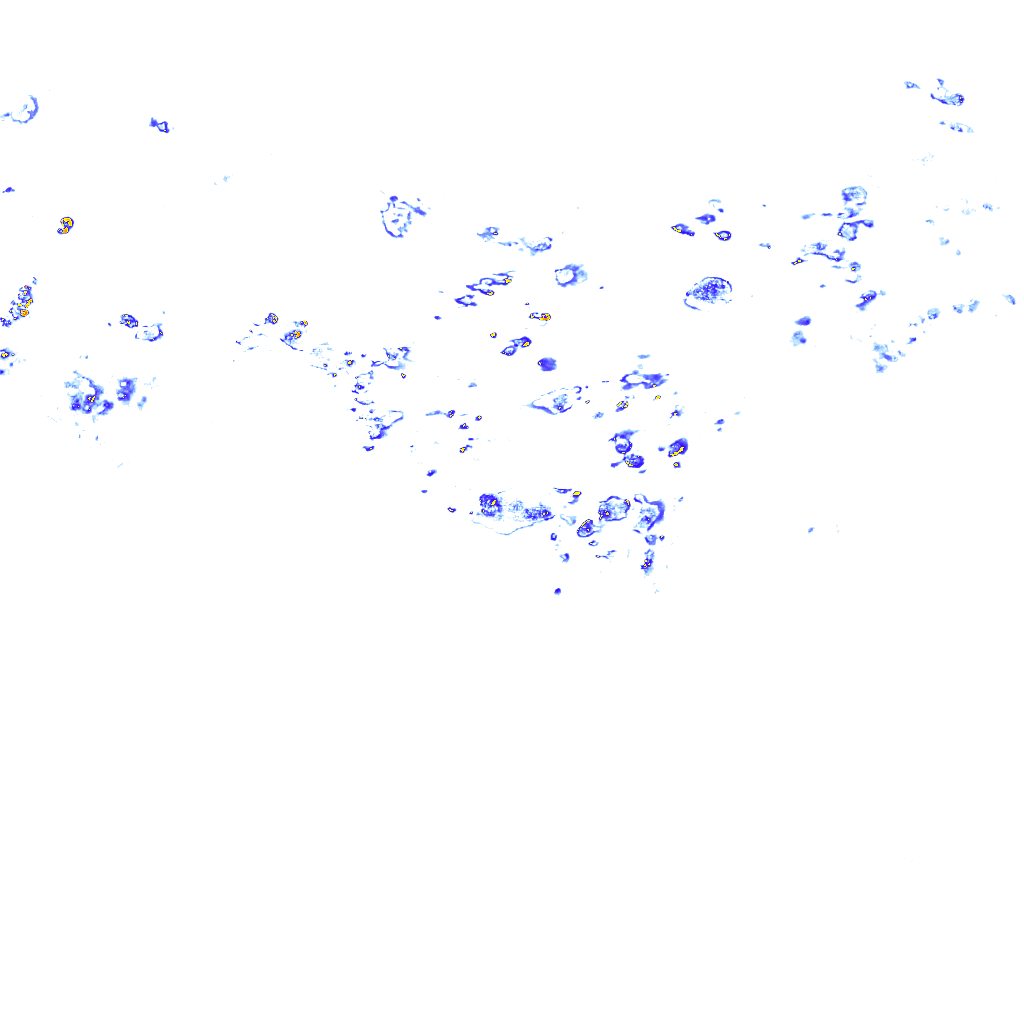 Image Layer
