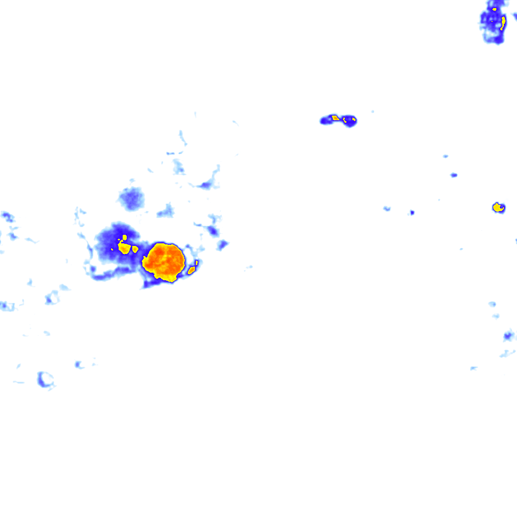Image Layer