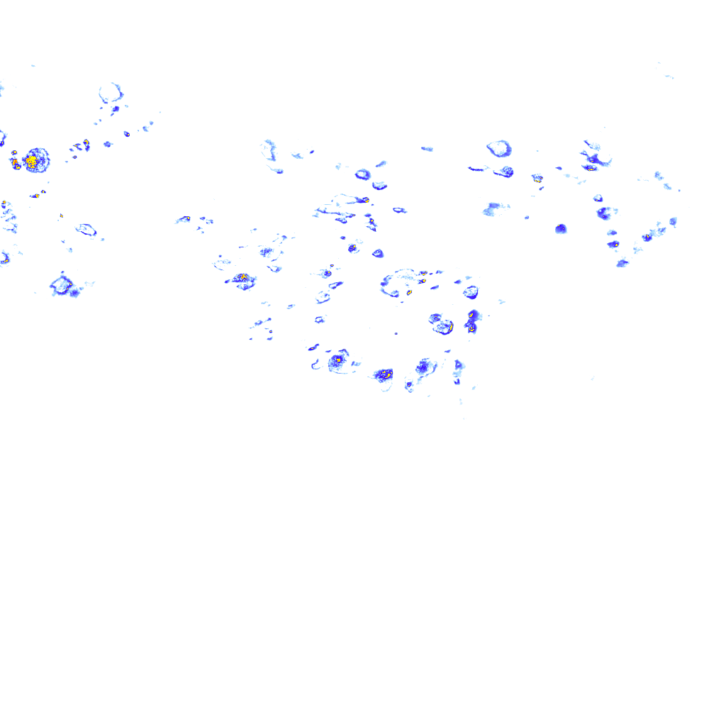 rainLayer