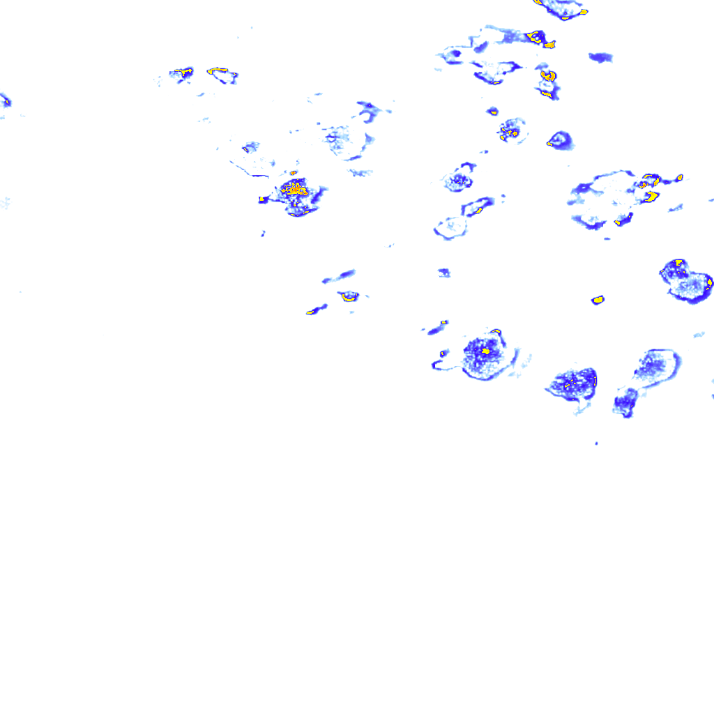rainLayer