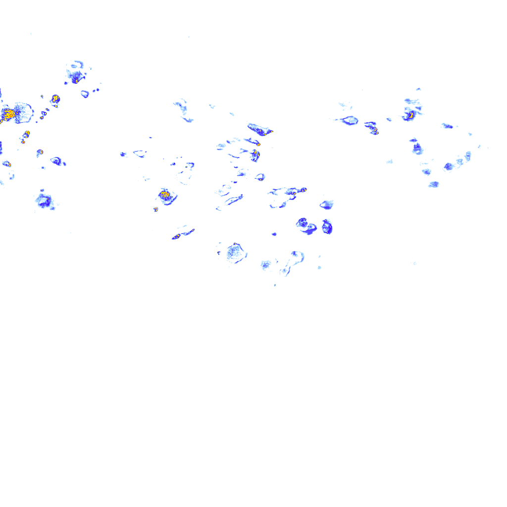 rainLayer