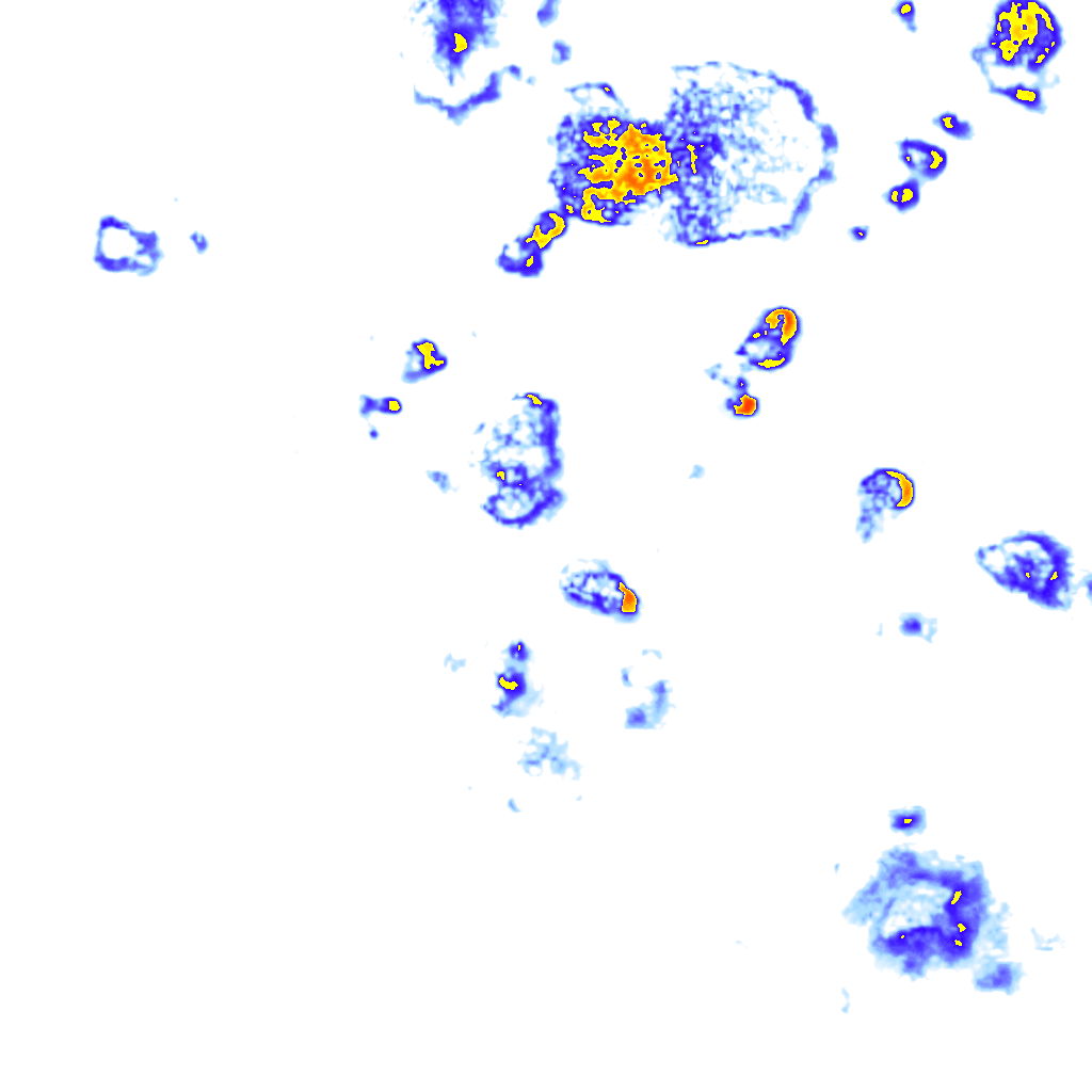 Image Layer