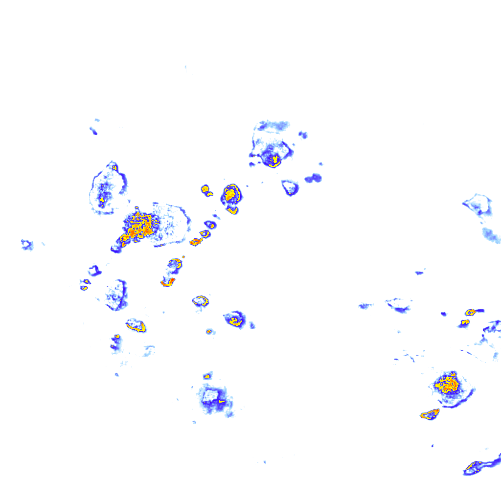 Image Layer