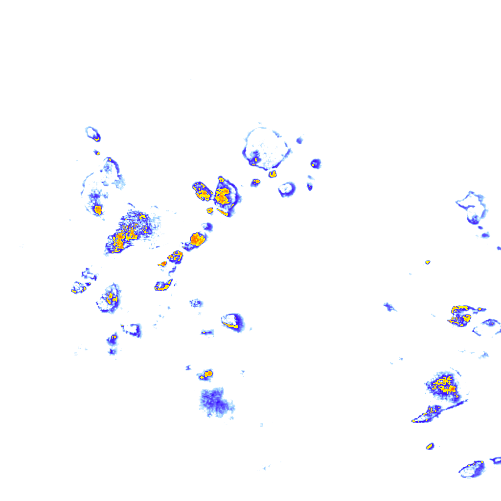 Image Layer