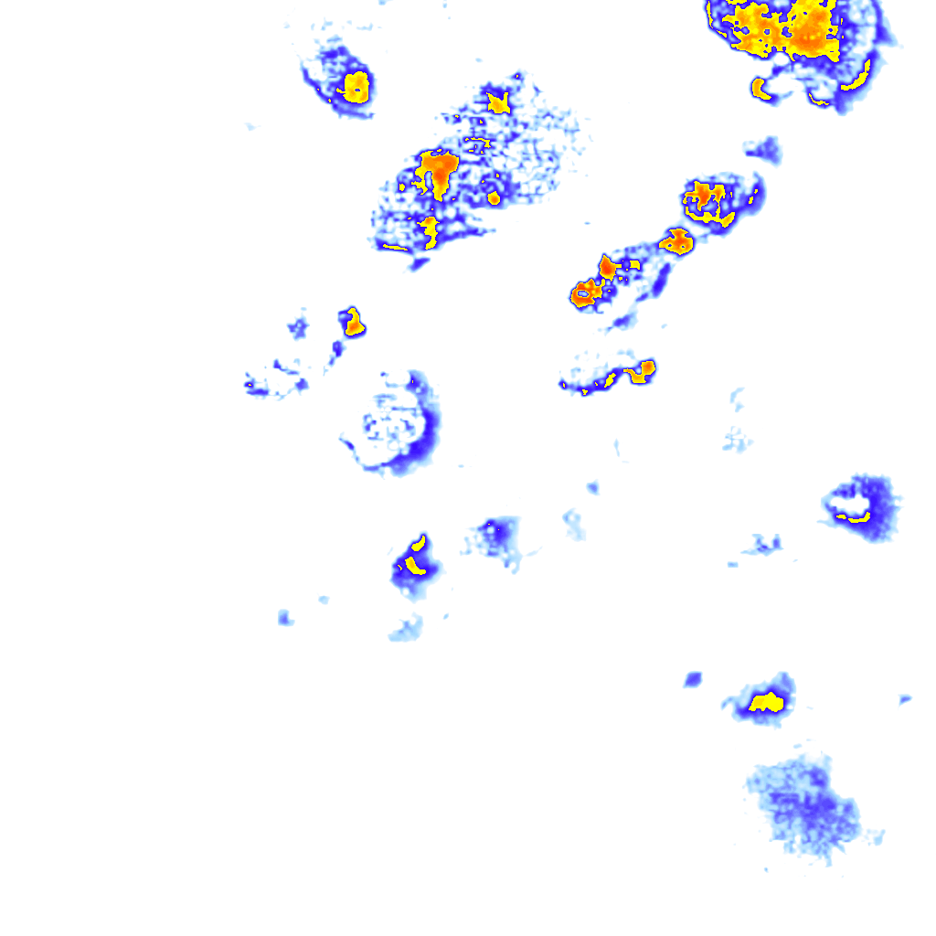 rainLayer
