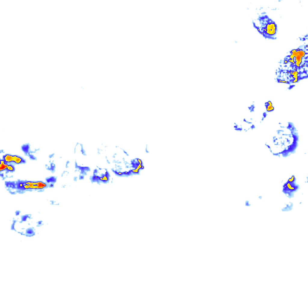 rainLayer