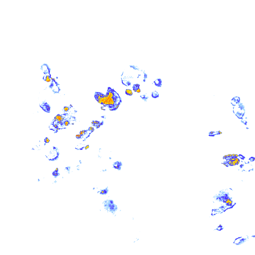 Image Layer