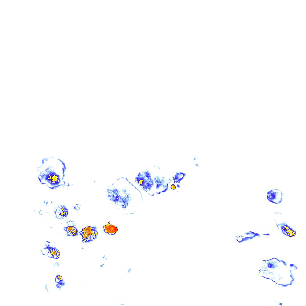 Image Layer