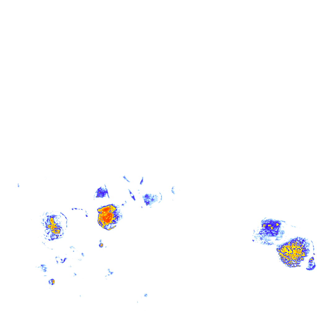 Image Layer
