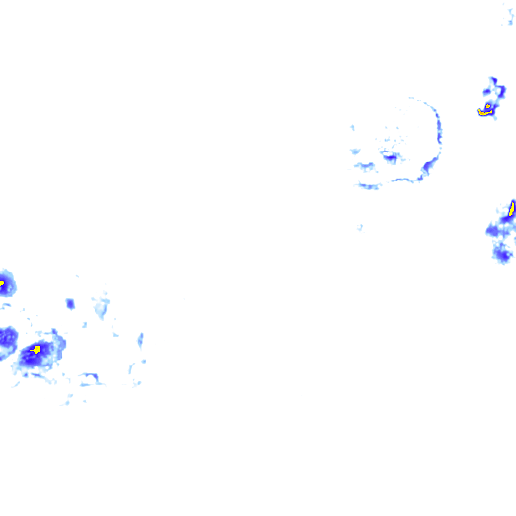 rainLayer