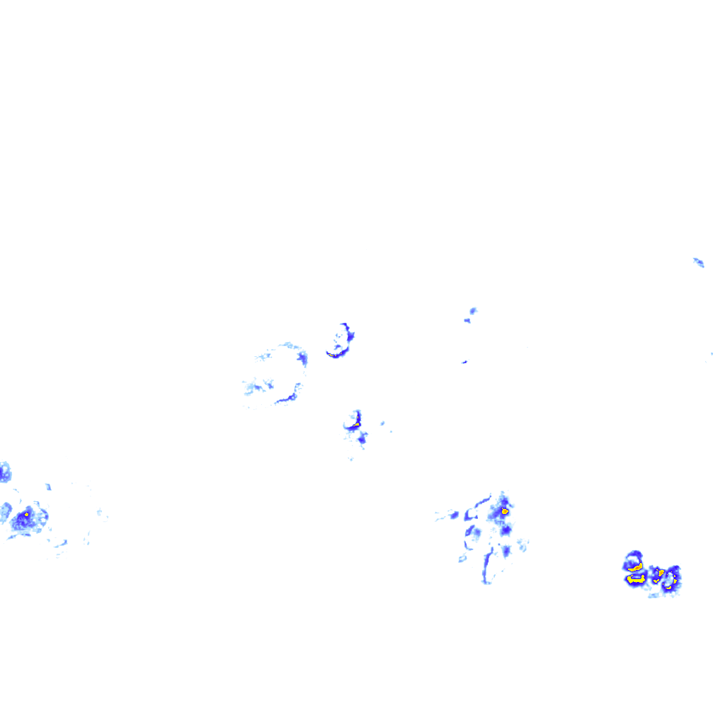 rainLayer