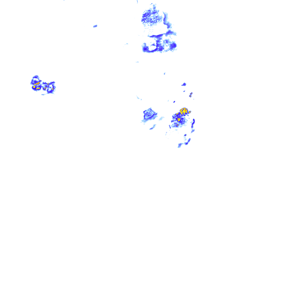 rainLayer