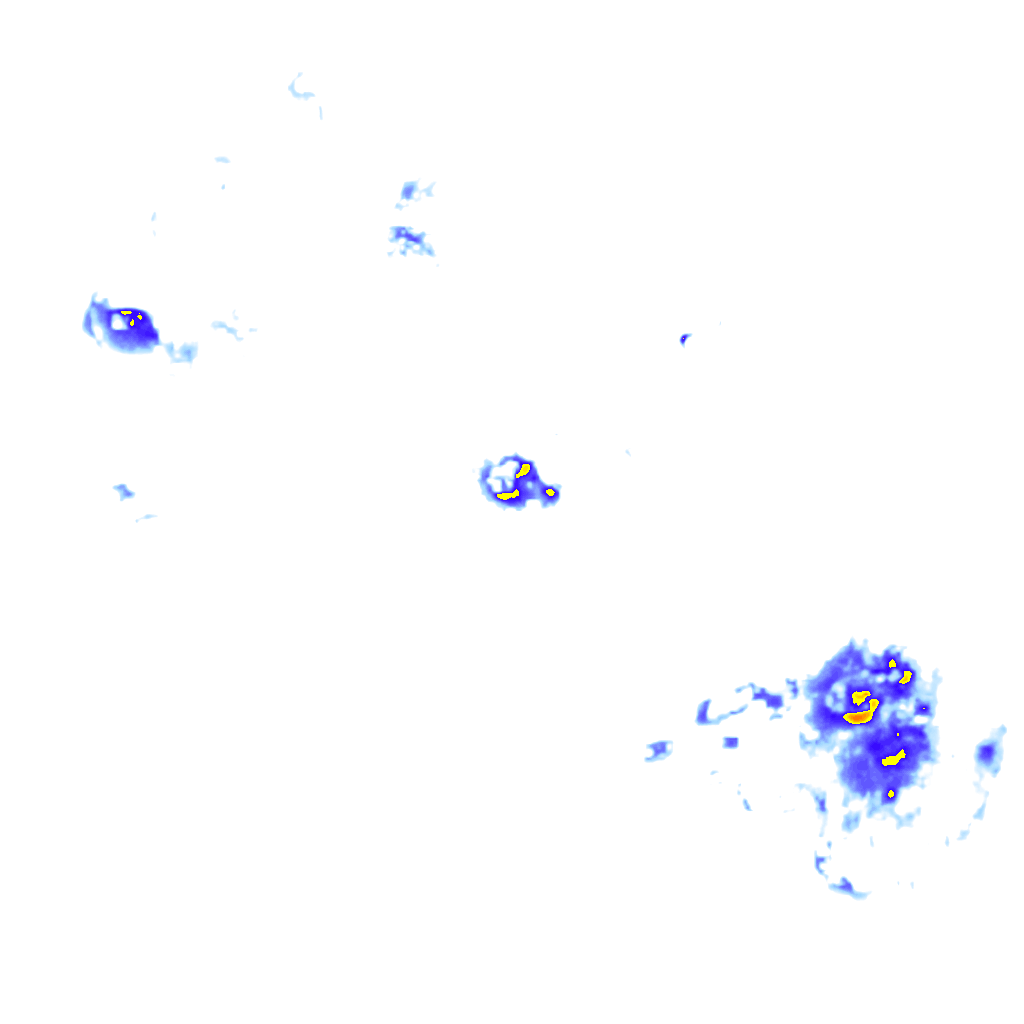 rainLayer