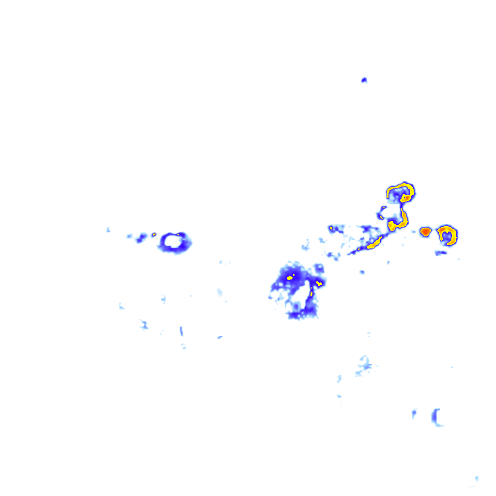 rainLayer