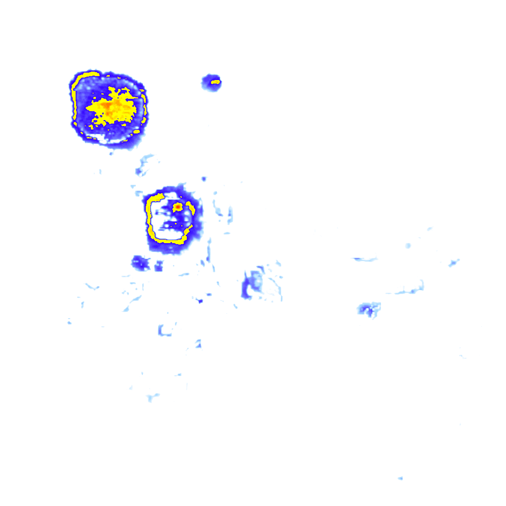 Image Layer