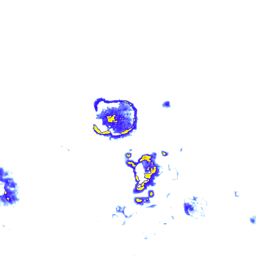 Image Layer