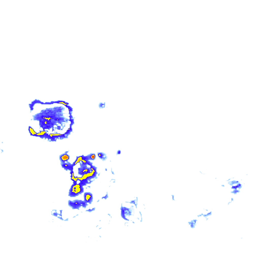rainLayer
