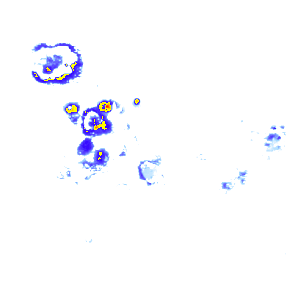 Image Layer